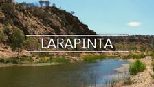 Larapinta
