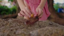 S1 E13: What's In The Attic