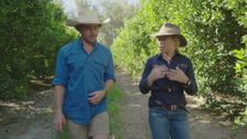 S5 E9: Taste of Australia with Hayden Quinn