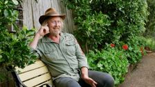 S37 E10: Autumn: Grow Cacti, Lychees & Organic Veg