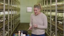 S9 E85: Everyday Gourmet with Justine Schofield