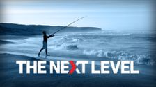 The Next Level