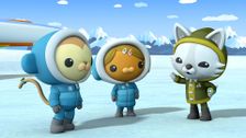 S1 E8: The Octonauts and the Antarctica Rescue