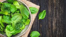 S10 E2: Lettuce and Bees