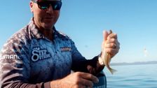 S4 E24: Step Outside with Paul Burt