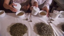 S1 E5: The Story of Tea