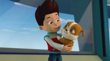 S1 E12: Pups get a Rubble; Pups save a walrus