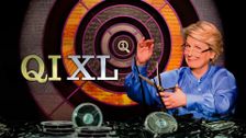 QI XL