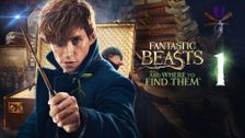 Fantastic Beasts and Where to Find Them