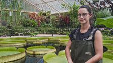 S2 E3: Kew Gardens: Season by Season