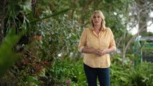 S32 E44: Better Homes and Gardens