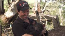 S2 E8: The Tasmanian Devil Facial Tumour