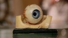 S3 E4: Weird, Odd & Outrageous