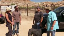 S2 E4: There's No Place Like Homestead Two