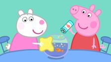 S4 E21: The Pet Competition