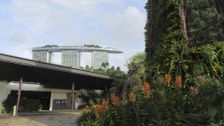 S146 E7: A Fresh Start in Singapore