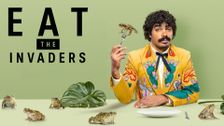Eat the Invaders