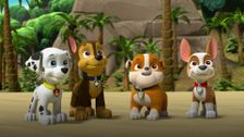 S6 E1: Pups Save the Jungle Penguins; Pups Save a Freighter