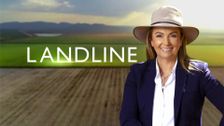 Landline