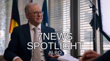 7NEWS Spotlight: Albo