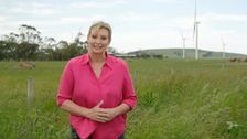 S32 E25: Better Homes and Gardens