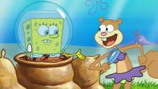 S7 E47: Hide and Then What Happens?; Shellback Shenanigans