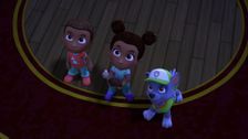 S6 E26: Pups Save a Tour Bus; Pups Save Midnight at the Museum