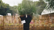 S40 E10: The Garden Gurus
