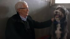 S9 E7: Paul O'Grady: For the Love of Dogs