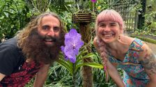 S37 E19: What Makes a `Great Garden'?