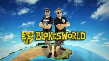 Blokesworld