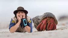 S1 E13: Andy and the Hermit Crab
