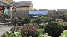 S9 E3: Love Your Garden