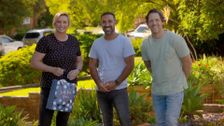 S28 E14: Better Homes and Gardens