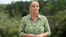 S32 E16: Better Homes and Gardens