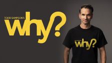 Todd Sampson's Why?