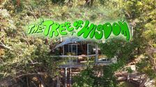 The Tree Of Wisdom