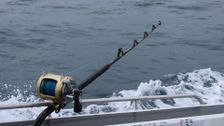 S2 E1: Portland Charter Boat Wars