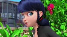 S1 E16: Animan