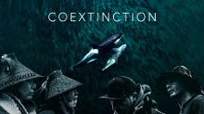 Coextinction
