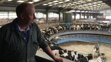 S15 E8: Violins, Milk Deliveries and Pumice