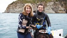 S1 E2: Sea Treasures