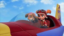 S14 E2: Pups and the Ace of the Skies; Pups Save the Babysitter