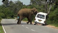 S6 E2: Caught on Dashcam