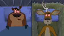 S1 E44: Squirrel Down