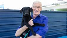S8 E6: Paul O'Grady: For the Love of Dogs