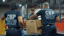 S1 E11: Airport Security USA
