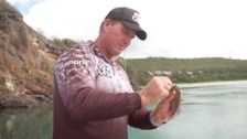 S1 E11: Step Outside with Paul Burt
