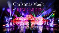 Christmas Magic At Kew Gardens