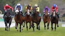 Horse Racing